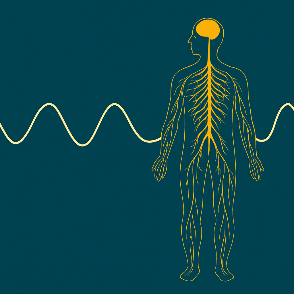 Illustration of the human nervous system with brain and spinal cord highlighted in yellow, connected to surrounding waveform signals symbolizing bioelectric communication.